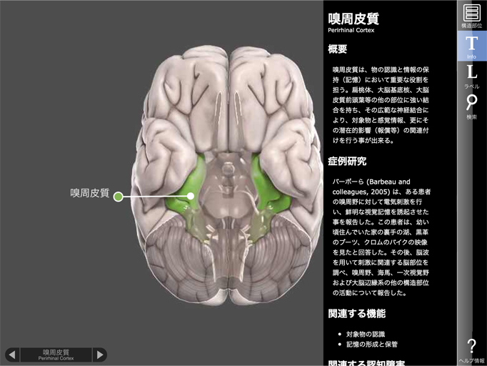 【図2　各脳部位のポイント解説イメージ