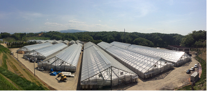 写真1 富山スマートアグリ次世代施設園芸拠点