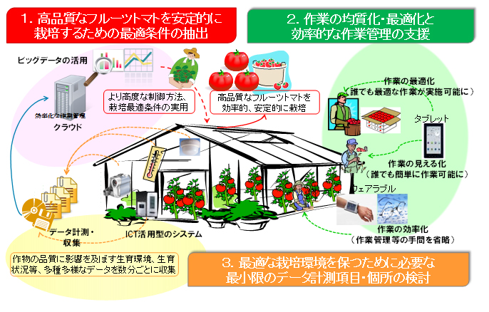 図1 パイロット事業の実施イメージ