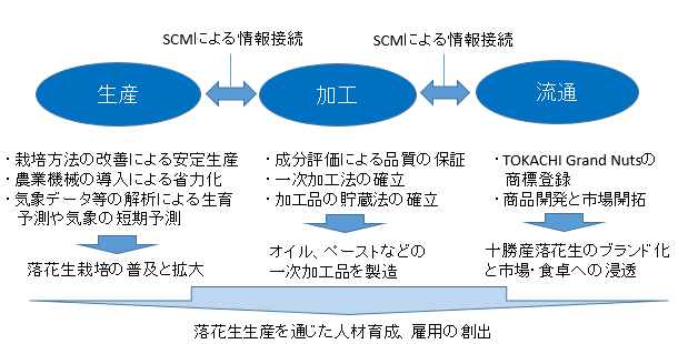 図２ 地域内バリューチェーンの構築