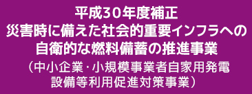 平成30年度補正 災害時に備えた社会的インフラへの自衛的な燃料備蓄の推進事業