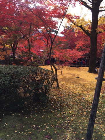 永観堂の庭園
