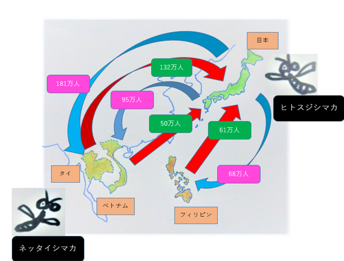 <図8>国際人流×蚊の連鎖