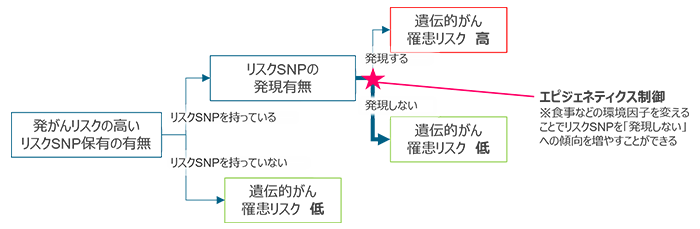 遺伝子の運命に人類は抗えるのか 個人の遺伝情報と環境 行動の相互作用の科学が生み出すビジネスチャンス Nttデータ経営研究所