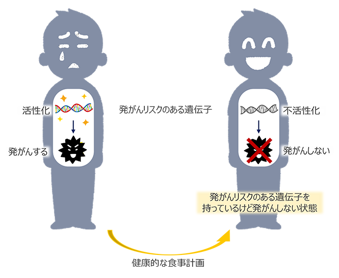 図 5：食事介入による発がん性遺伝子の活動性制御