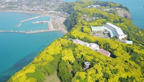 千葉県 南房総地域
