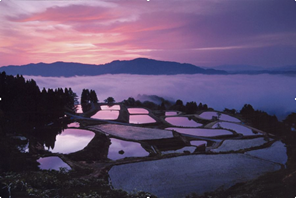 新潟県 長岡市 川口・山古志地域