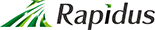 Rapidus Corporation