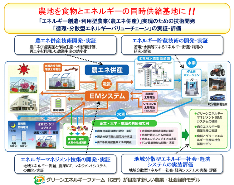 グリーンエネルギーファーム（GEF）が目指す新しい農業・社会経済モデル