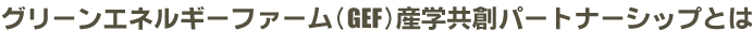 グリーンエネルギーファーム（GEF）産学共創パートナーシップとは