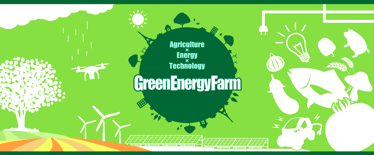 Green Energy Farm