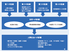 図表1：生物多様性の危機と人間社会への影響