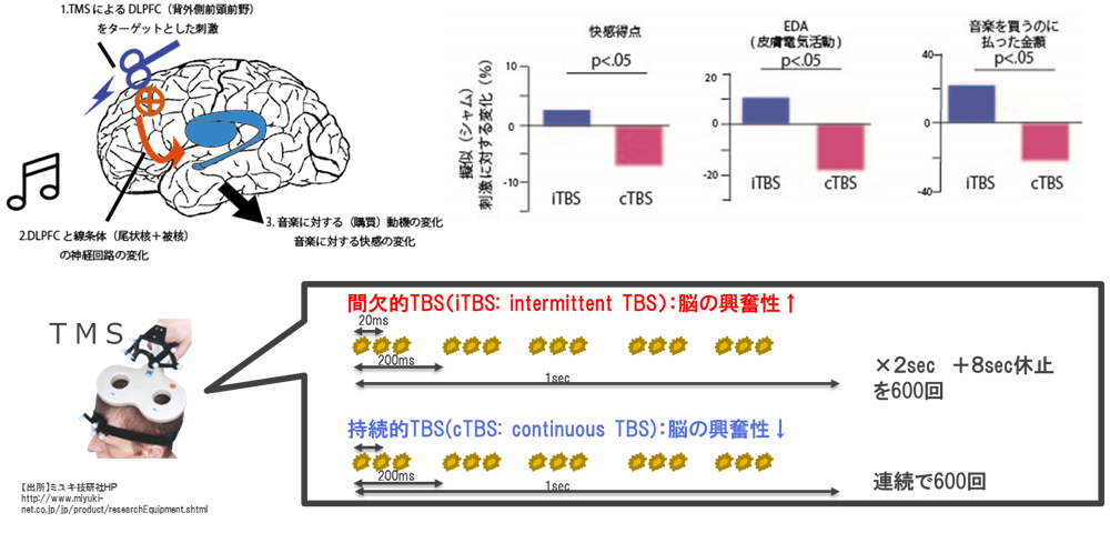 図 2　外部刺激により脳情報表現を変え音楽体験の快感を高める