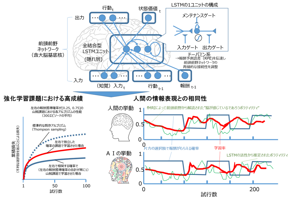 図 4　前頭前野ネットワークを模したアーキテクチャによる「（メタ）強化学習」