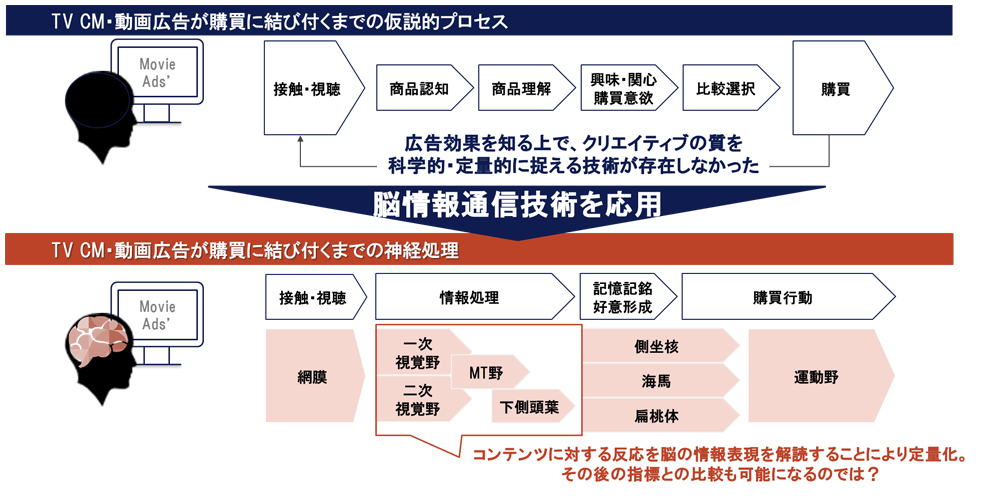 図 5　広告評価・改善への脳情報通信技術の貢献可能性