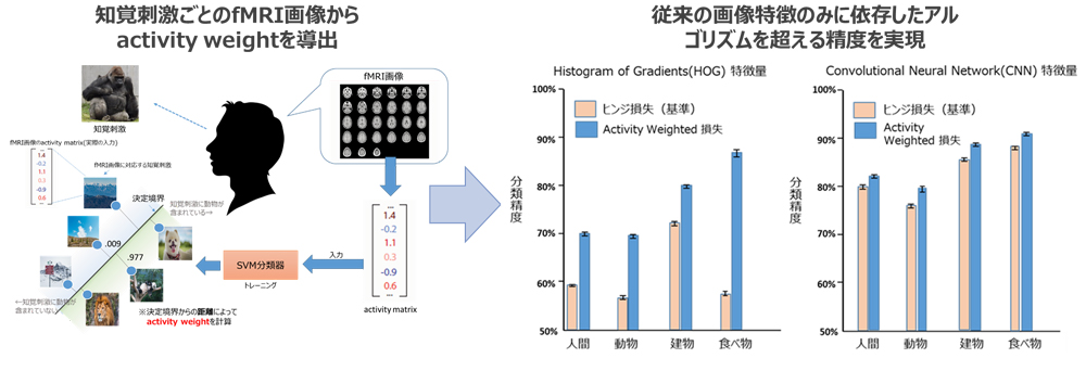 図 6　脳情報を加えることにより画像認識の精度を上げる