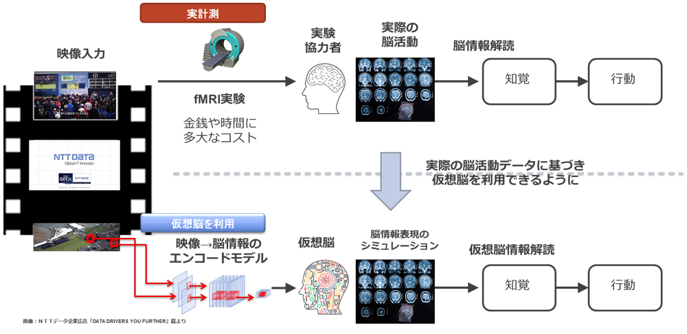 図 7　NTTデータとNICT・CiNetによるエンコードモデルを利用した仮想脳