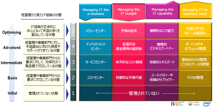 図表3　IT-CMFの成熟度定義