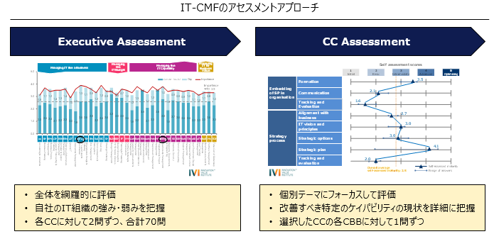 図3：IT-CMFのアセスメントアプローチ