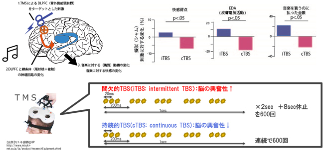 図 2　外部刺激により脳情報表現を変え音楽体験の快感を高める