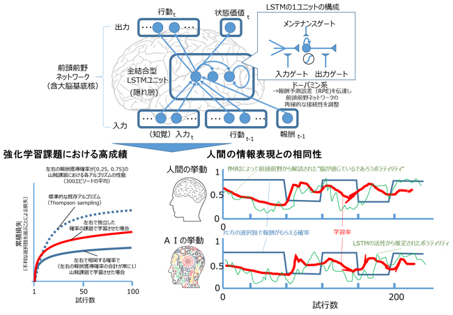 図 4　前頭前野ネットワークを模したアーキテクチャによる「（メタ）強化学習」