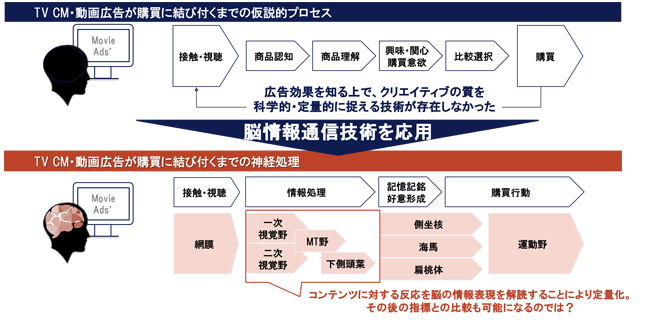 図 5　広告評価・改善への脳情報通信技術の貢献可能性